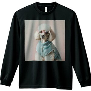 TVc lԗp Y Ht vg W[ AEghA JWA 킢 t@ Kl v[h m