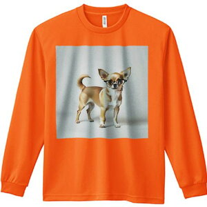 TVc lԗp Y Ht vg W[ AEghA JWA 킢 t@ Kl `  wi 