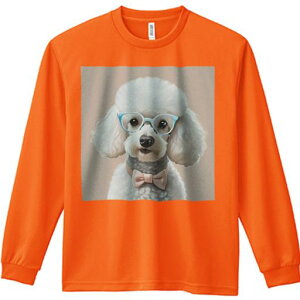 TVc lԗp Y Ht vg W[ AEghA JWA 킢 t@ Kl v[h lN^C