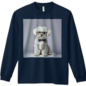 TVc lԗp Y Ht vg W[ AEghA JWA 킢 t@ Kl }`[Y lN^C