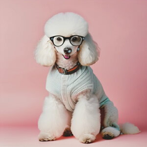 ዾ v[h Z[^[ sN wi NbVJo[ 45×45cm Aj}   NbV{̕t ` t@