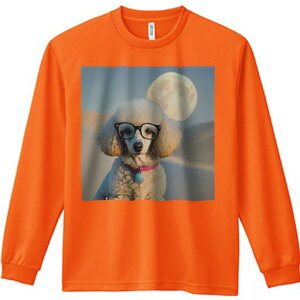 TVc lԗp Y Ht vg W[ AEghA JWA 킢 t@  v[h Kl 