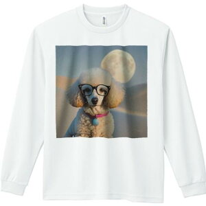 TVc lԗp Y Ht vg W[ AEghA JWA 킢 t@  v[h Kl 