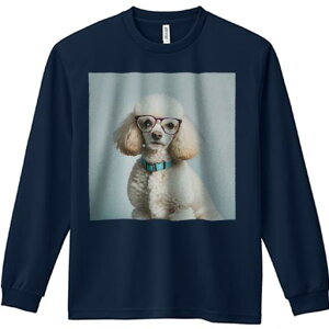 TVc lԗp Y Ht vg W[ AEghA JWA 킢 t@ Kl v[h 