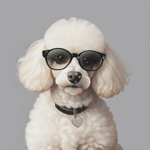 Kl v[h  n[g^^O NbVJo[ 45×45cm Aj}   NbV{̕t ` t@