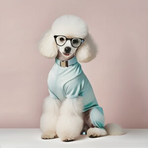 ߂ v[h  sN̔wi NbVJo[ 45×45cm Aj}   NbV{̕t ` t@