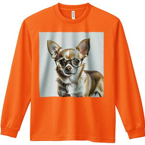 TVc lԗp Y Ht vg W[ AEghA JWA 킢 t@ Kl `