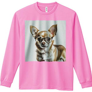 TVc lԗp Y Ht vg W[ AEghA JWA 킢 t@ Kl `