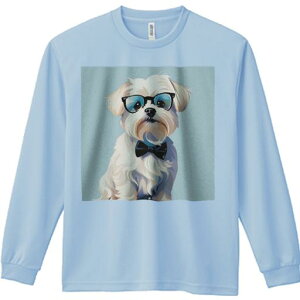 TVc lԗp Y Ht vg W[ AEghA JWA 킢 t@ Kl }`[Y lN^C   gh