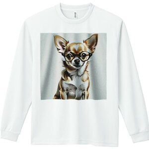 TVc lԗp Y Ht vg W[ AEghA JWA 킢 t@ Kl `