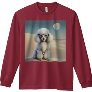 TVc lԗp Y Ht vg W[ AEghA JWA 킢 t@ Kl v[h   