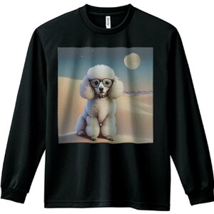 TVc lԗp Y Ht vg W[ AEghA JWA 킢 t@ Kl v[h   