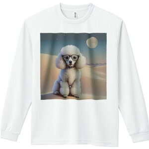 TVc lԗp Y Ht vg W[ AEghA JWA 킢 t@ Kl v[h   