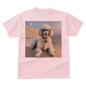 TVc Y LbY t@  t  vg JWA 킢 lԗp tBbglX _X  v[h [ Kl ̃^O