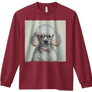 TVc lԗp Y Ht vg W[ AEghA JWA 킢 t@ Kl v[h lN^C