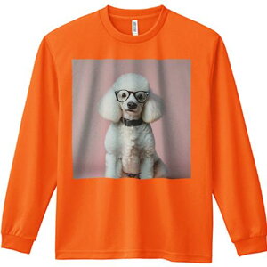 TVc lԗp Y Ht vg W[ AEghA JWA 킢 t@ Kl v[h sNwi