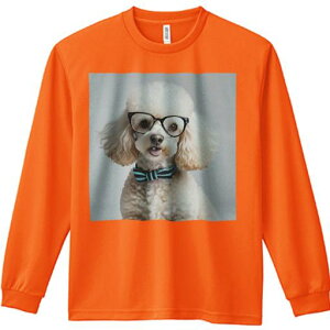 TVc lԗp Y Ht vg W[ AEghA JWA 킢 t@ Kl v[h lN^C t@bV