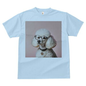 TVc Y LbY t@  t  vg JWA 킢 lԗp tBbglX _X Kl v[h J[ n[g̃^O sN̔wi