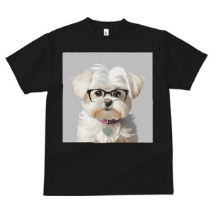 TVc Y LbY t@  t  vg JWA 킢 lԗp tBbglX _X Kl }`[Y n[g^̎