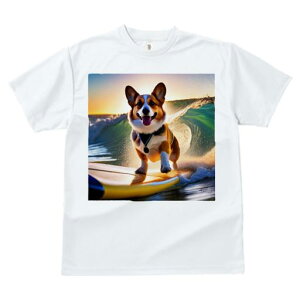 TVc Y LbY t@  t  vg JWA 킢 lԗp tBbglX _X T[tB EFVR[M[ C [