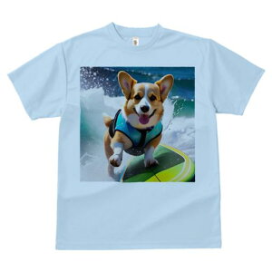 TVc Y LbY t@  t  vg JWA 킢 lԗp tBbglX _X T[tB EFVR[M[ r[` EFbgX[c g