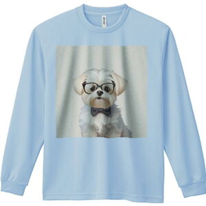 TVc lԗp Y Ht vg W[ AEghA JWA 킢 t@ Kl }`[Y lN^C  ybg