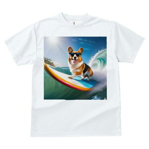 TVc Y LbY t@  t  vg JWA 킢 lԗp tBbglX _X T[t{[h EFVR[M[yu[N C z TOX