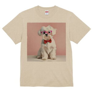 TVc Y LbY t@  t  vg JWA 킢 lԗp tBbglX _X Kl }`[Y ԂlN^C sN̔wi