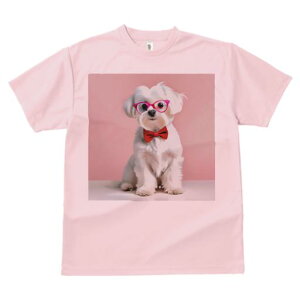 TVc Y LbY t@  t  vg JWA 킢 lԗp tBbglX _X Kl }`[Y ԂlN^C sN̔wi