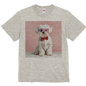 TVc Y LbY t@  t  vg JWA 킢 lԗp tBbglX _X Kl }`[Y ԂlN^C sN̔wi