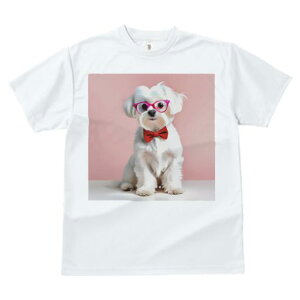 TVc Y LbY t@  t  vg JWA 킢 lԗp tBbglX _X Kl }`[Y ԂlN^C sN̔wi