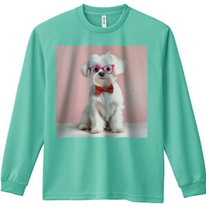 TVc lԗp Y Ht vg W[ AEghA JWA 킢 t@ Kl }`[Y ԂlN^C sN̔wi