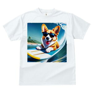 TVc Y LbY t@  t  vg JWA 킢 lԗp tBbglX _X T[tB R[M[ ዾ C g l