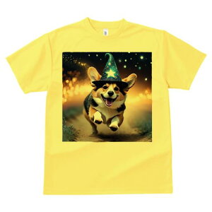 TVc Y LbY t@  t  vg JWA 킢 lԗp tBbglX _X @̖Xq R[M[   łグԉ @