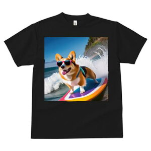 TVc Y LbY t@  t  vg JWA 킢 lԗp tBbglX _X T[tB R[M[ TOX C g r[`