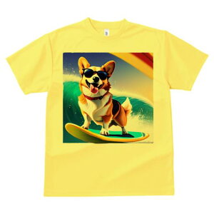 TVc Y LbY t@  t  vg JWA 킢 lԗp tBbglX _X T[tB R[M[ TOX C