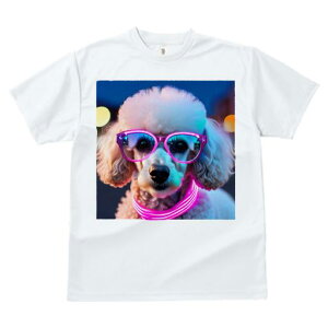 TVc Y LbY t@  t  vg JWA 킢 lԗp tBbglX _X Kl v[h lICg i t@bV 