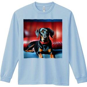 TVc lԗp Y Ht vg W[ AEghA JWA 킢 t@ Ԃ\t@ h[x} NbV lN^C