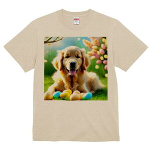 TVc Y LbY t@  t  vg JWA 킢 lԗp tBbglX _X Jtȗ S[fgo[ ΂̑ t̉