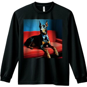 TVc lԗp Y Ht vg W[ AEghA JWA 킢 t@ lN^C h[x} Ԃ\t@ wi