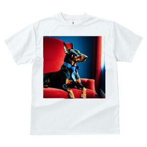 TVc Y LbY t@  t  vg JWA 킢 lԗp tBbglX _X Ԃ֎q h[x} lN^C lN^C