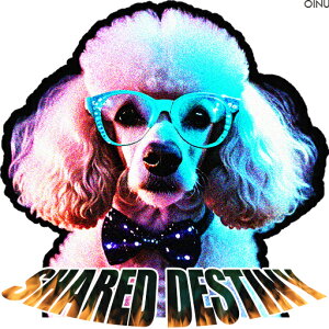 Kl v[h lN^C SHARED DESTINY NbVJo[ 45×45cm Aj}   NbV{̕t ` t@