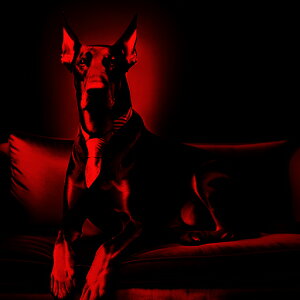 \t@ h[x} lN^C NbVJo[ 45×45cm Aj}   NbV{̕t ` t@