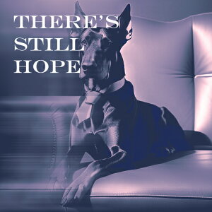 \t@ h[x} lN^C NbVJo[ 45×45cm Aj}   NbV{̕t ` t@