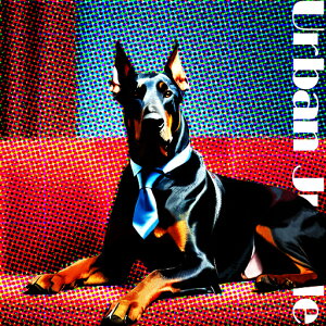 lN^C h[x} \t@ |bvA[g NbVJo[ 45×45cm Aj}   NbV{̕t ` t@