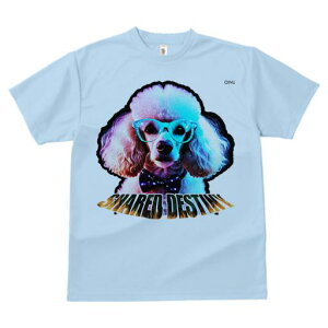 TVc Y LbY t@  t  vg JWA 킢 lԗp tBbglX _X Kl v[h lN^C SHARED DESTINY