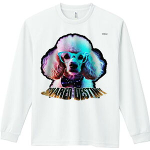 TVc lԗp Y Ht vg W[ AEghA JWA 킢 t@ Kl v[h lN^C SHARED DESTINY