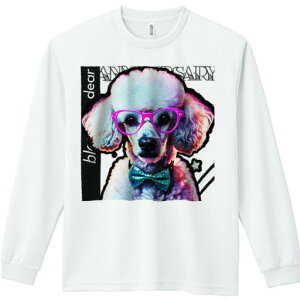 TVc lԗp Y Ht vg W[ AEghA JWA 킢 t@ ዾ v[h lN^C 