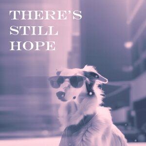 �T���O���X �{�[�_�[�R���[ �r�� �X ��] �C���X�s���[�V���� �N�b�V�����J�o�[ 45×45cm �A�j�}���� ������� ���� �N�b�V�����{�̕t�� �����` ���t�@��