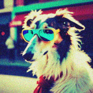 TOX {]C XJ[t r Xg[g NbVJo[ 45×45cm Aj}   NbV{̕t ` t@